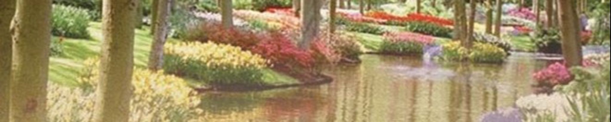 Cover photo for Gladyce Ilene Nosbusch's Obituary