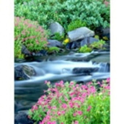 Jane E. Brannon photo gallery thumbnail 2 of 2