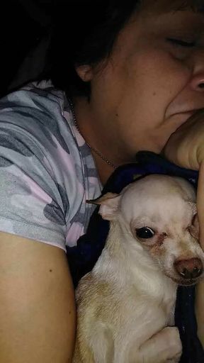 Judy G.  Hinojosa photo gallery thumbnail 69 of 87
