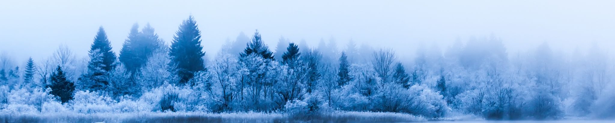 Cover for Memorial Tribute Service's Obituary