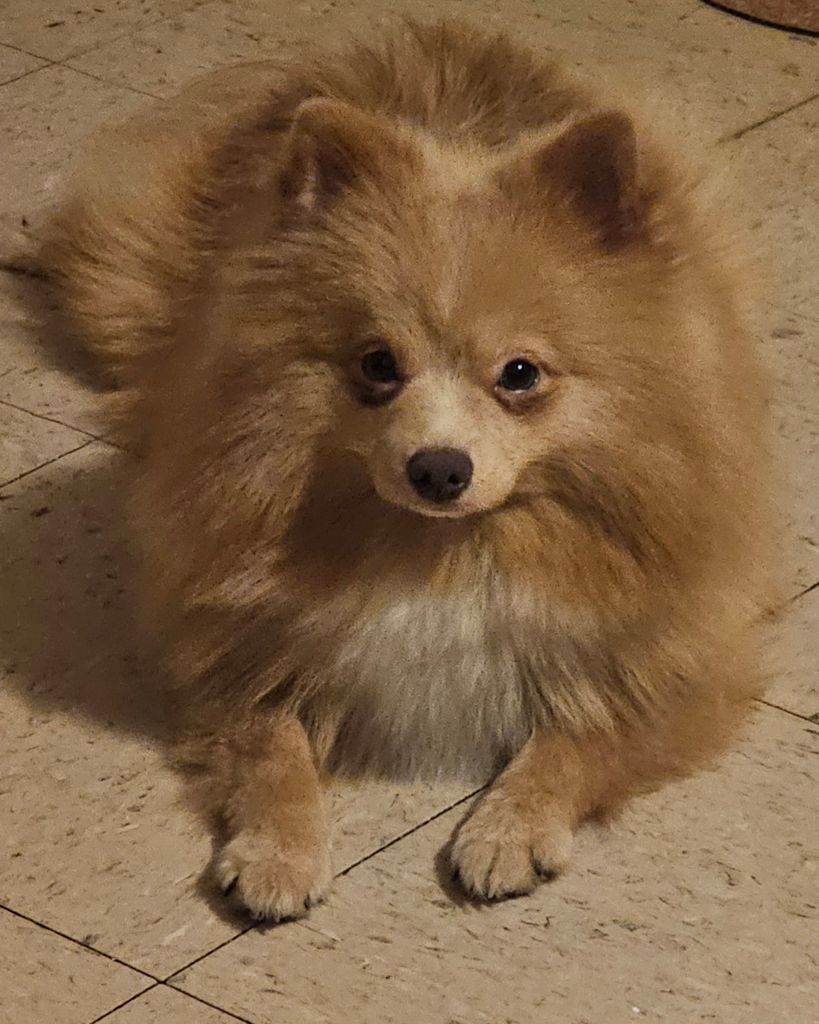 Simba ♥ Profile Photo