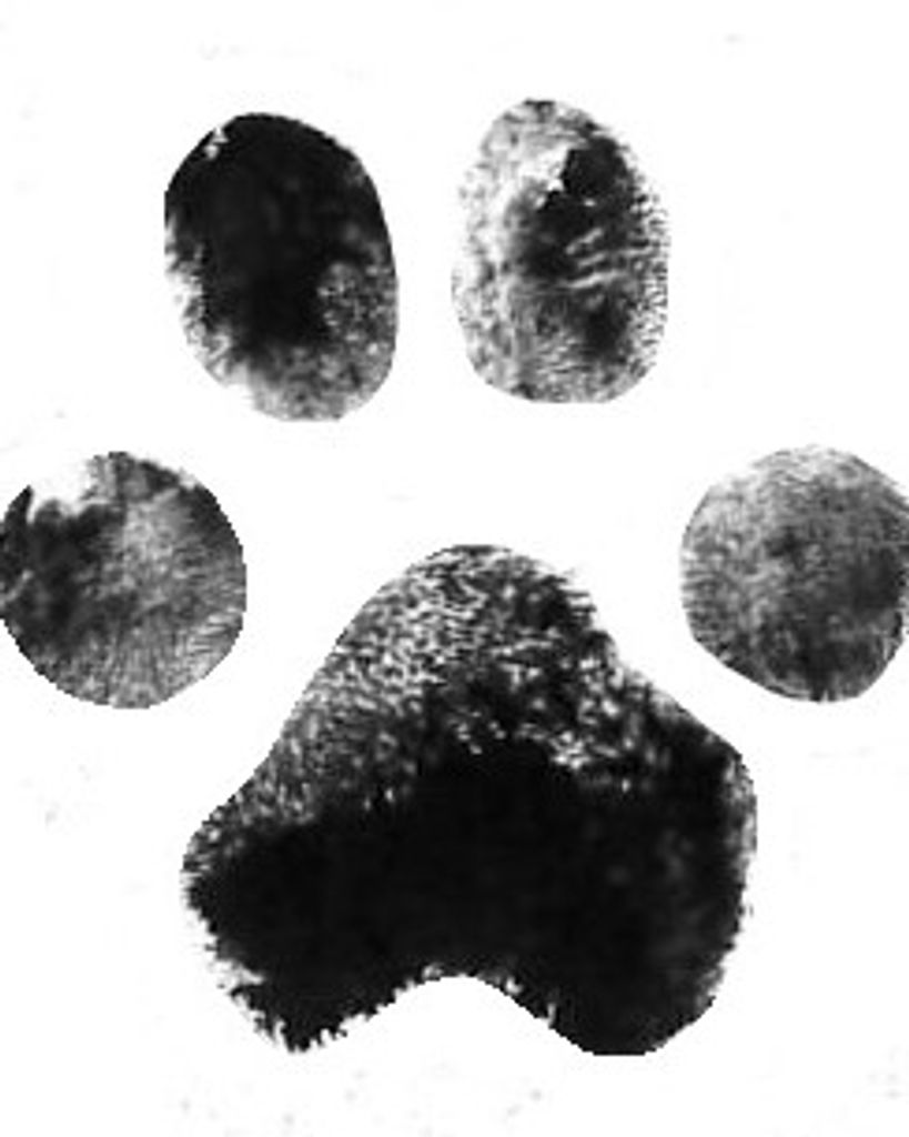 Cosita Smith Profile Photo