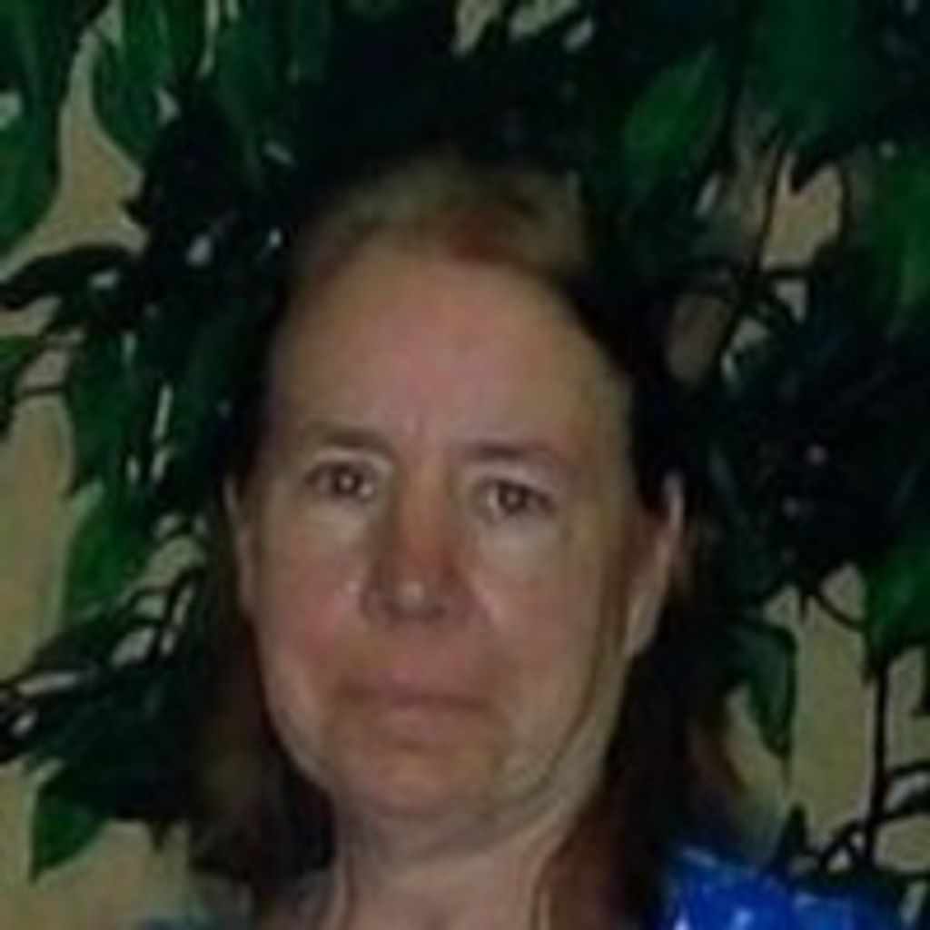 Debra Kay (Brandt) DeVlaeminck