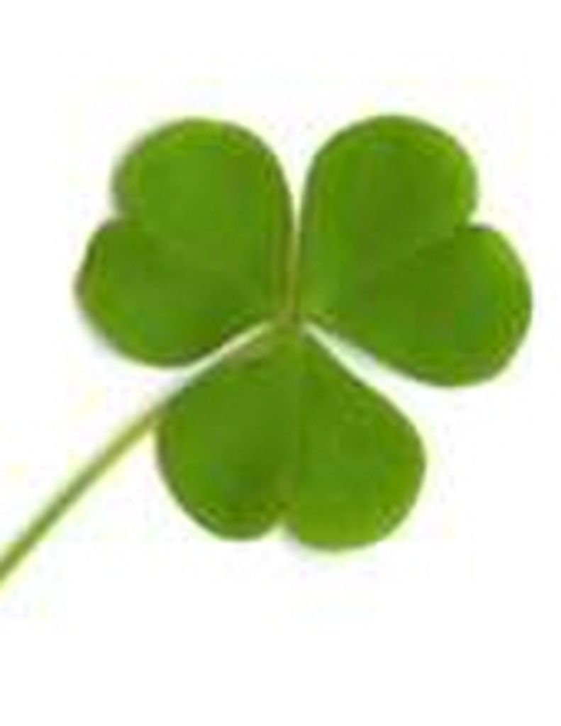 Michael "Mike" Patrick O'Connor Profile Photo