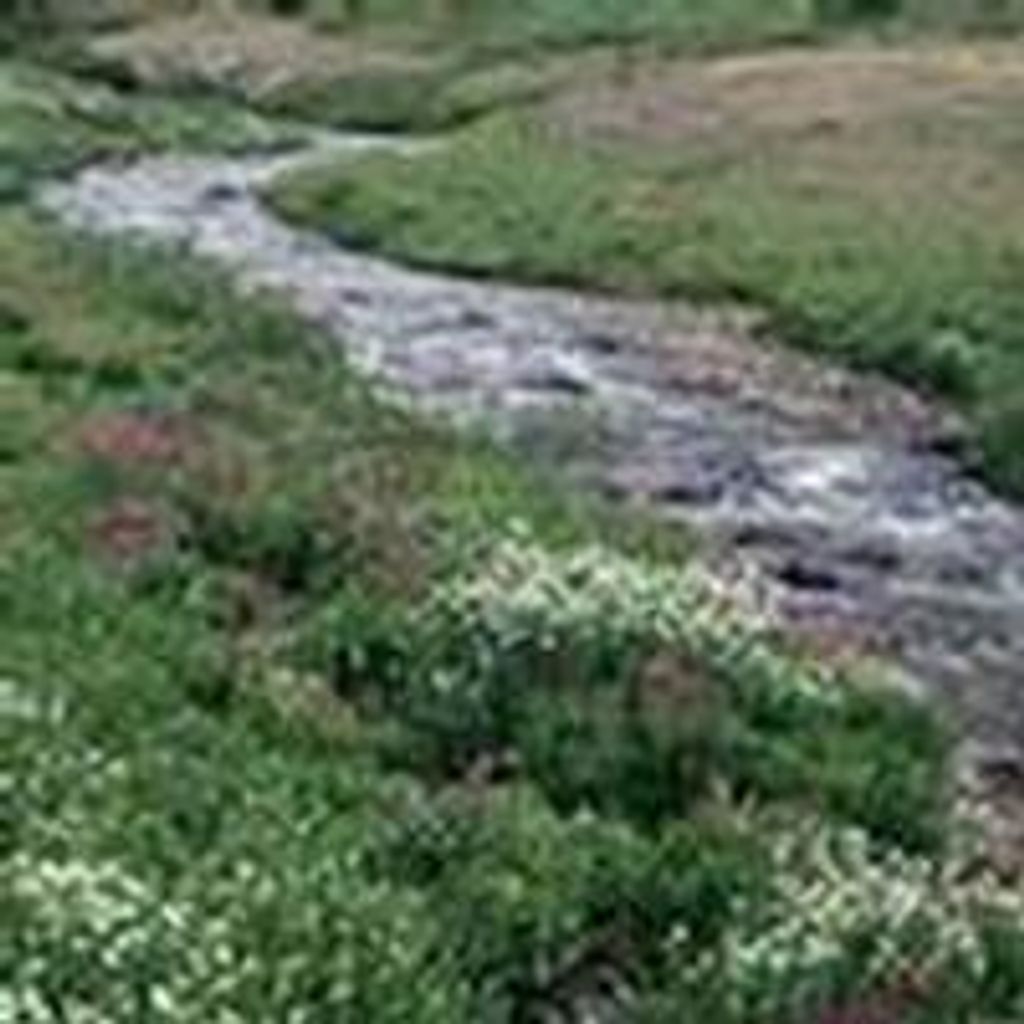 Richard Dickie Dean Dalrymple