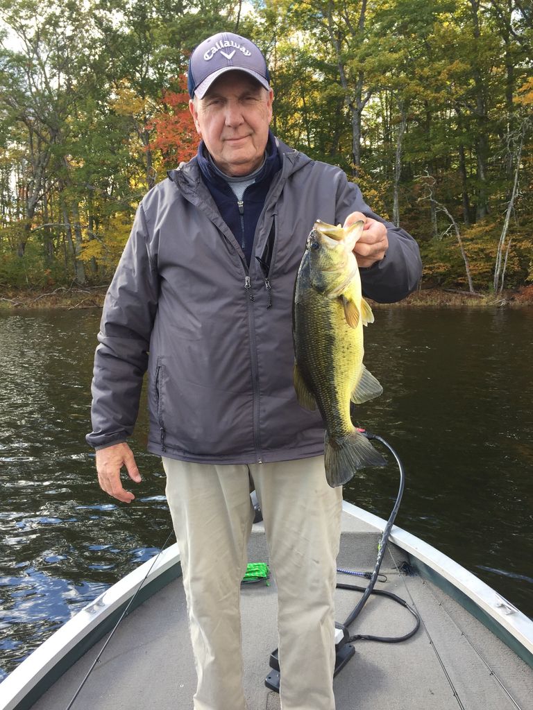 David Robert New Profile Photo