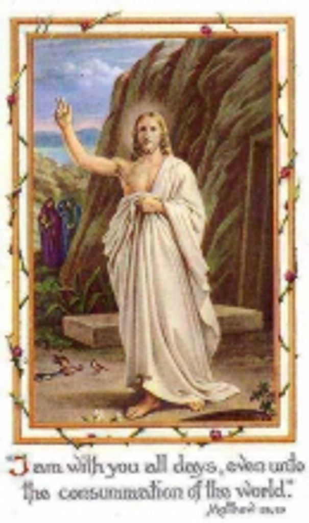 Virginia  Kelly Casey