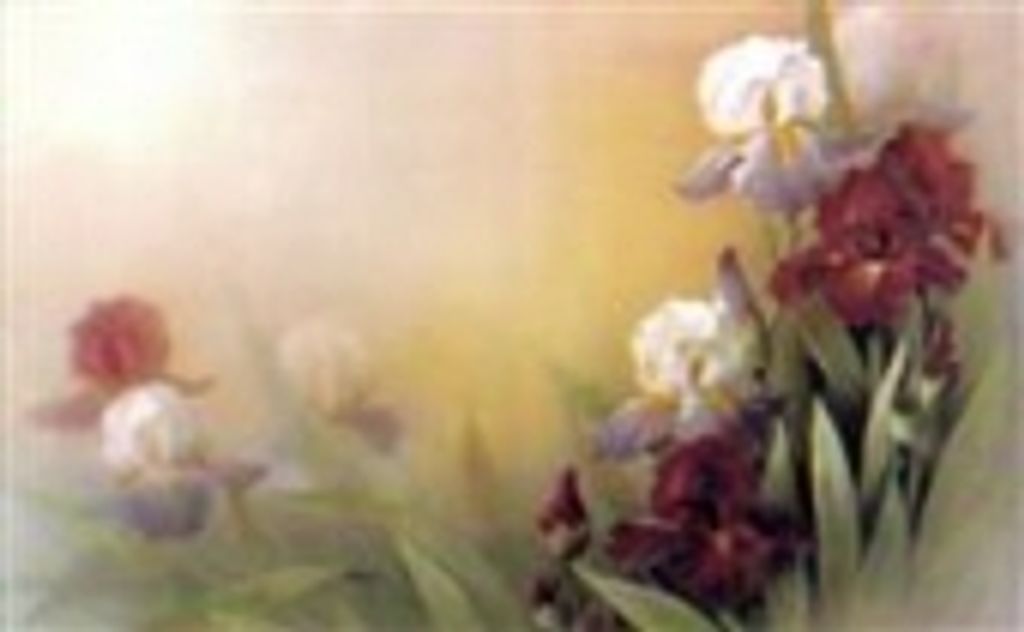 Mrs. Frank Ray Berry