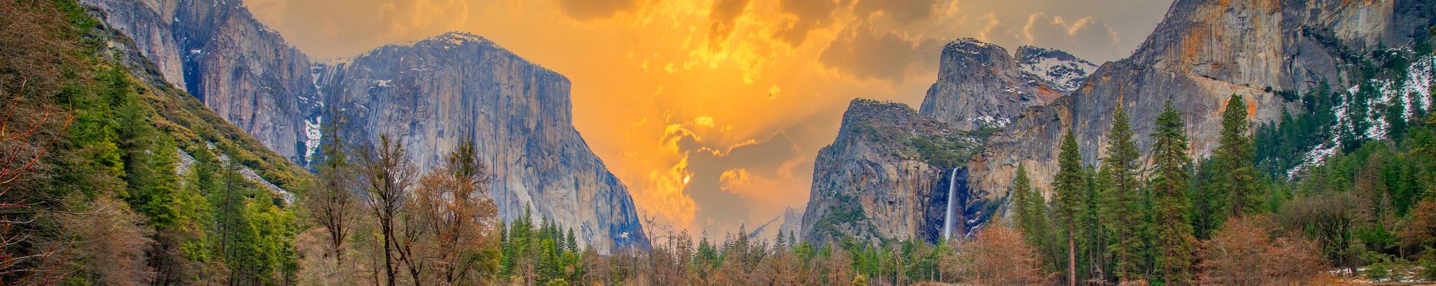 Cover photo for Lisa Dome's Obituary