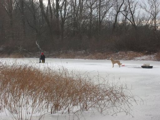 Charles David Weber photo gallery thumbnail 5 of 12