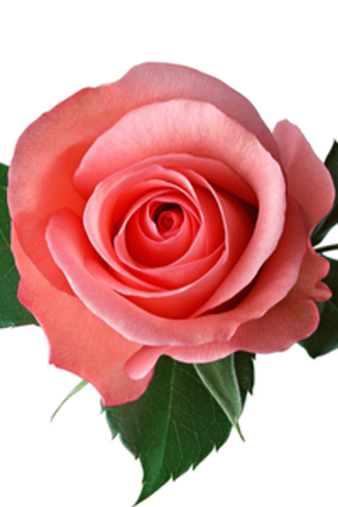 Barbara Ann Humphries Profile Photo