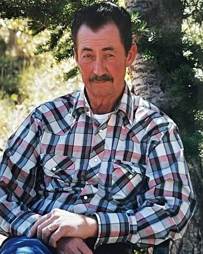 Reed Lloyd Pearson's obituary image