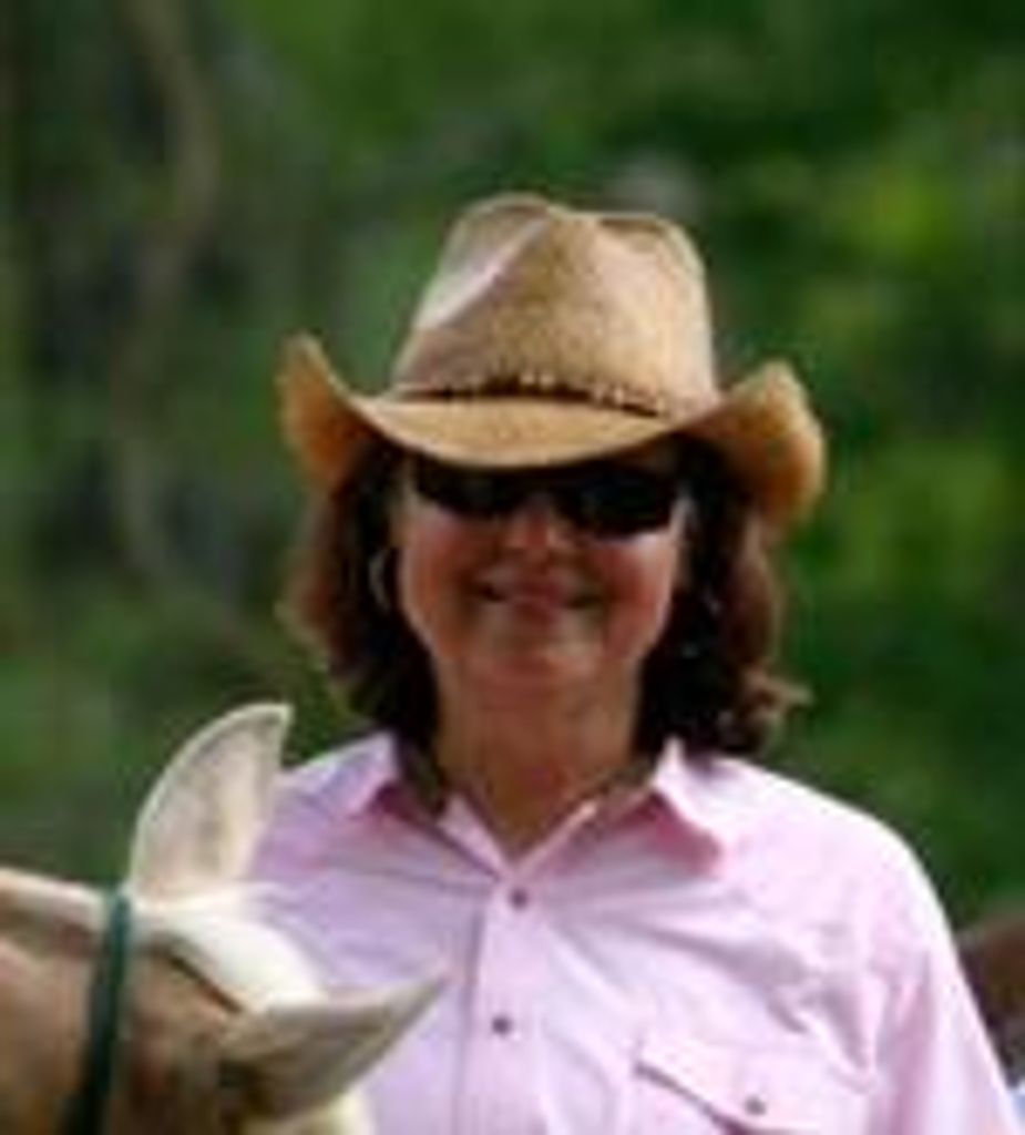 Karen Collins