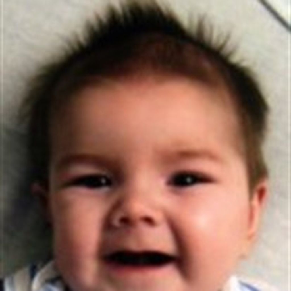 Brecken Danrek Novotny
