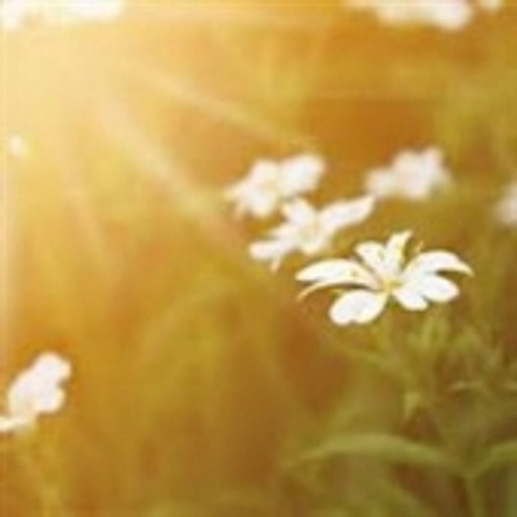 Margaret Mary Orlinski