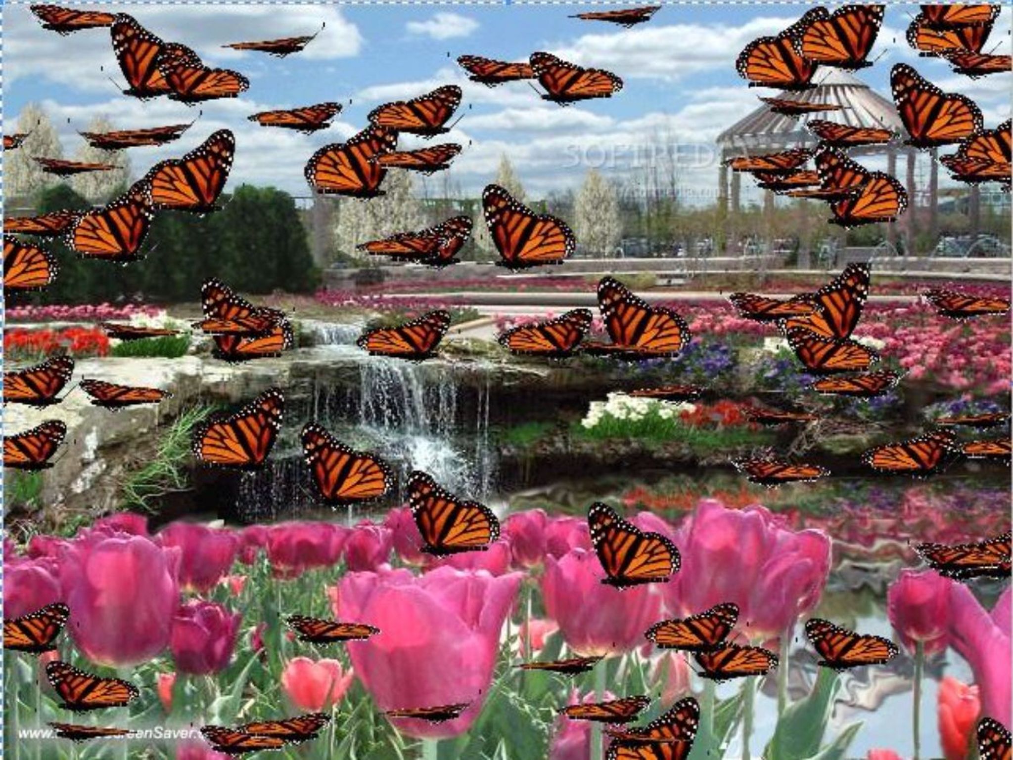 Cover photo for Yvonne  Gaitan Reyna, 73's Obituary