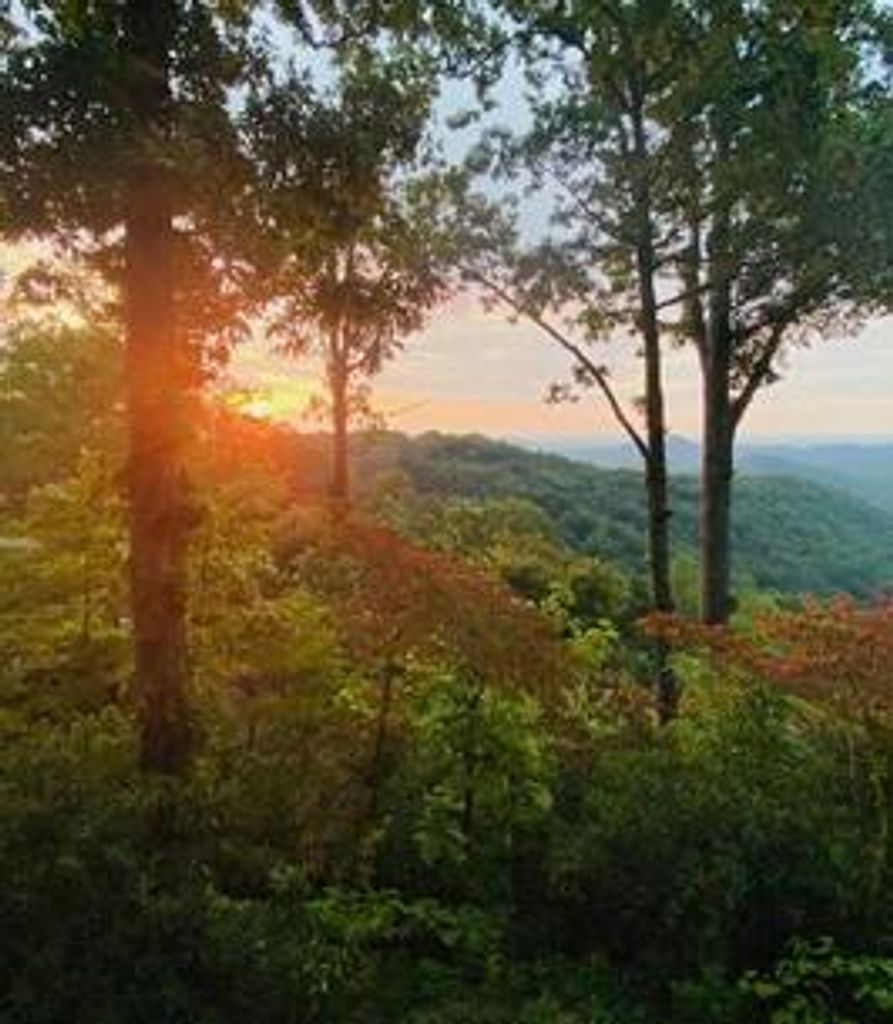 Marie Haynie Profile Photo