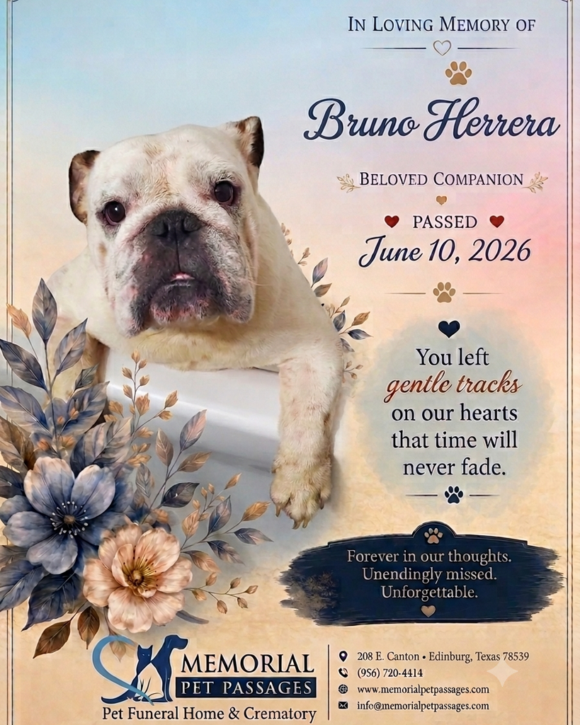 Bruno Herrera Profile Photo