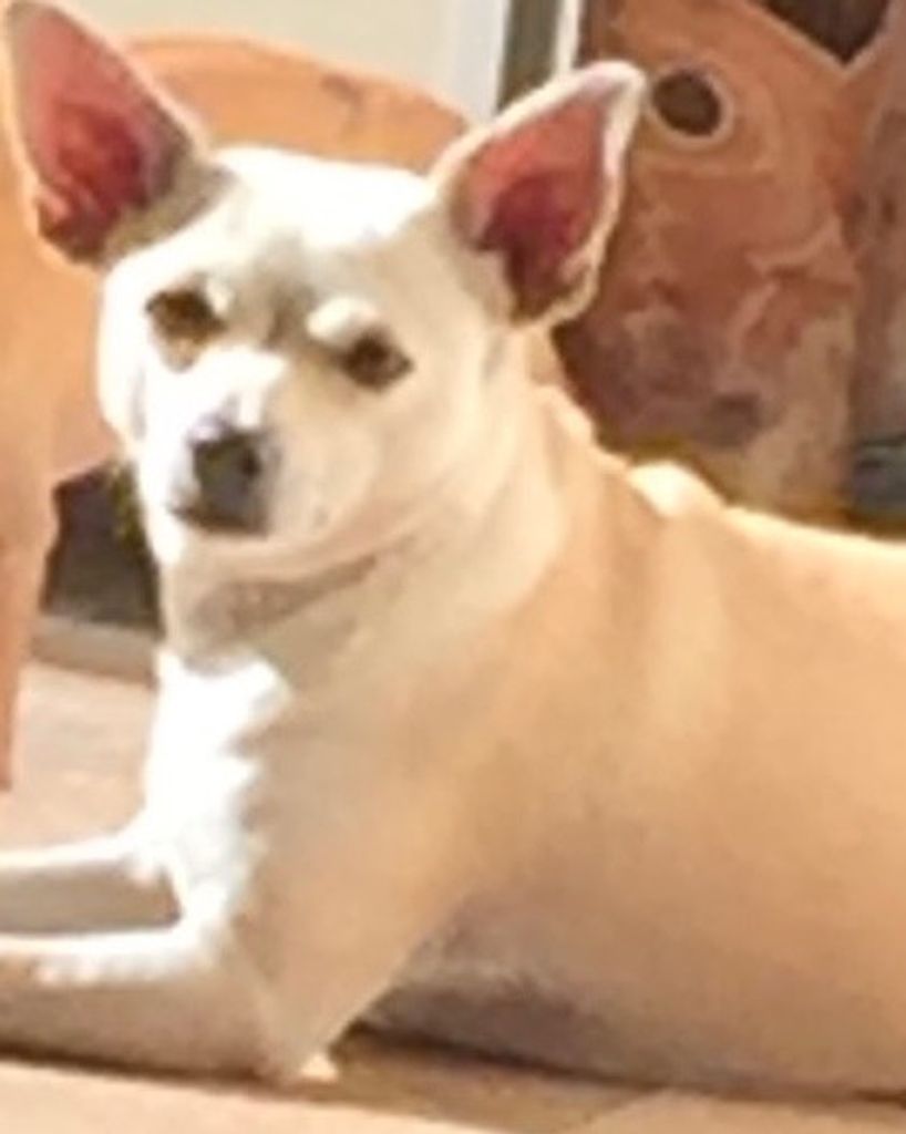 Sandy Kimsey Profile Photo