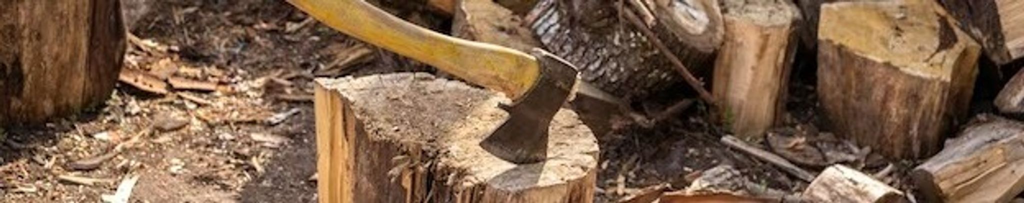 Cover for Frederic Frank Beyer's Obituary