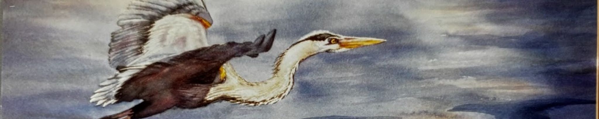 Cover for Nan Gray's Obituary