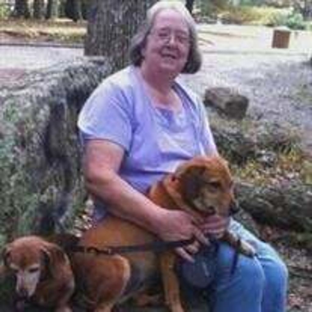 Elizabeth Ann Foley Steele Profile Photo