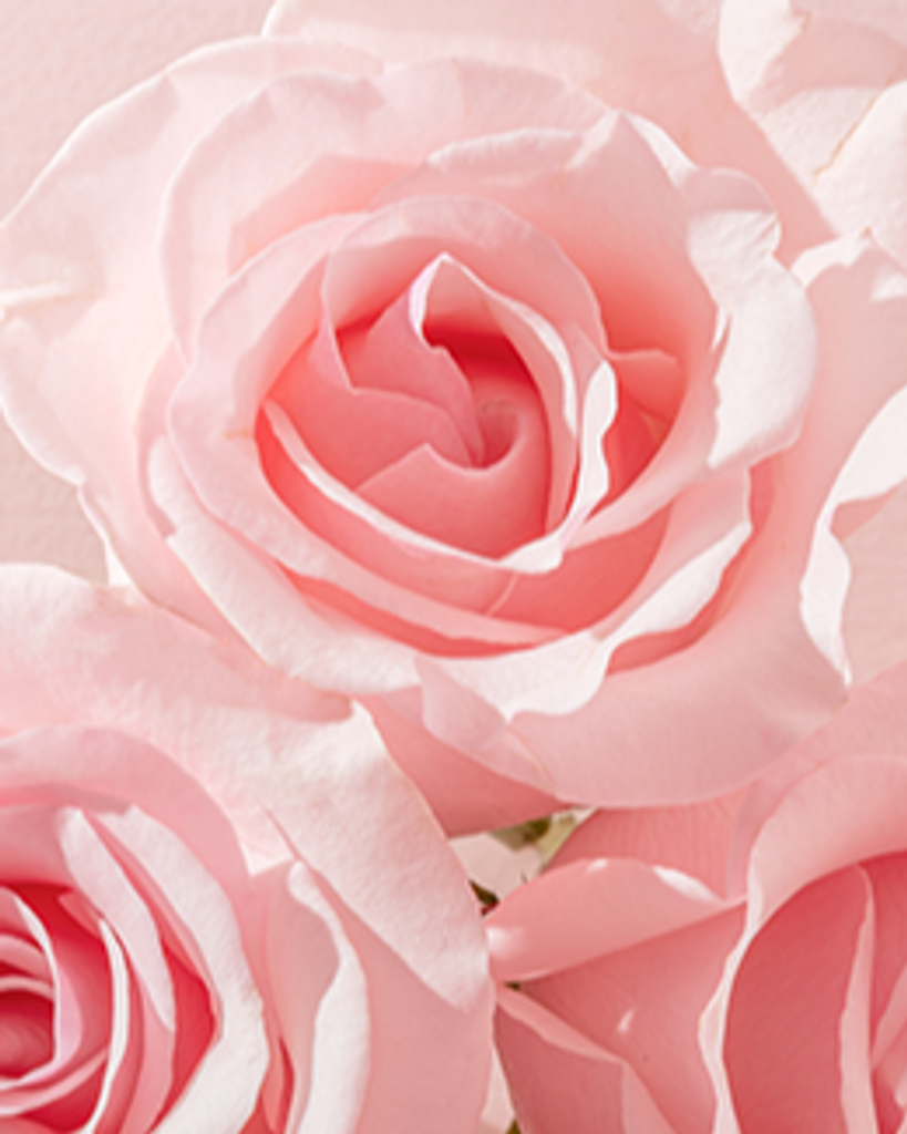 Dorothy Newlin Lear Profile Photo