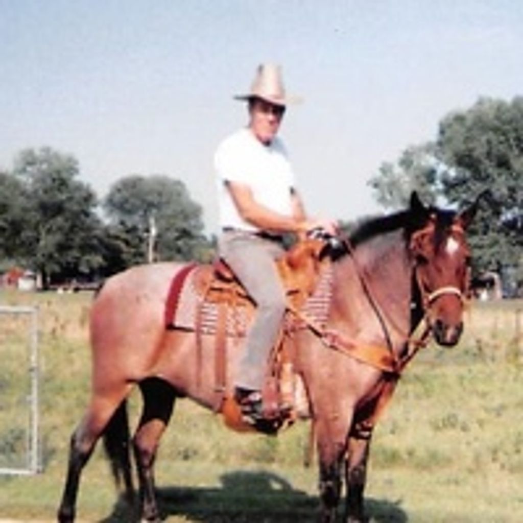 Ernest Albert Barlow