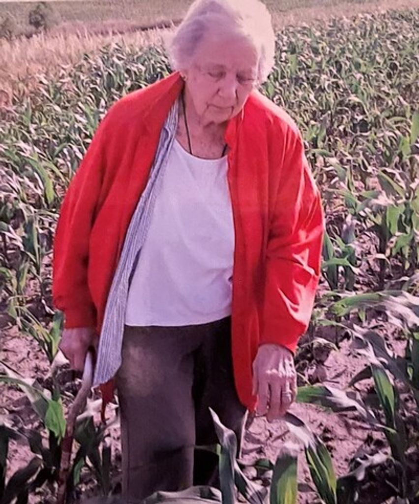 Betty (Elizabeth) Ann Schuler Profile Photo