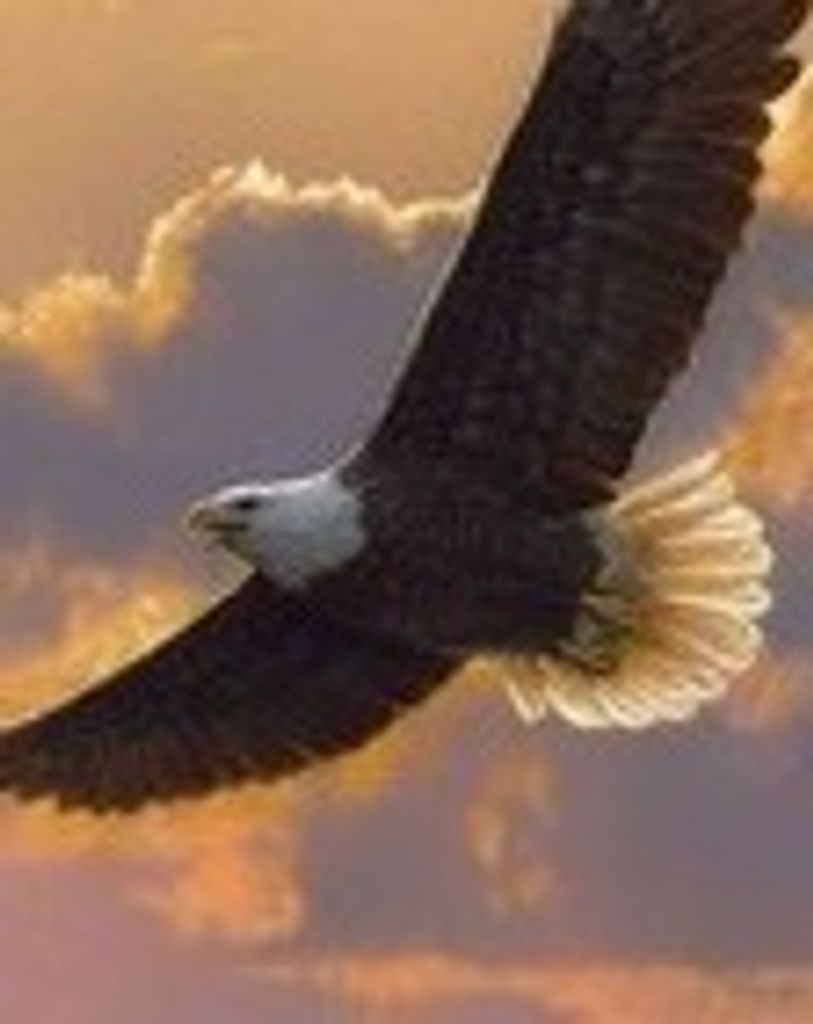 Ray Oliver Smith Profile Photo