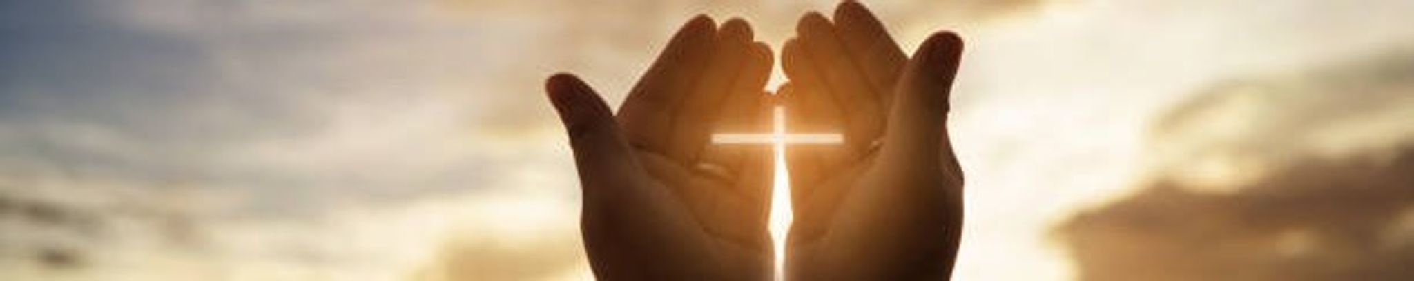 Cover photo for Carolyn B. Conboy's Obituary