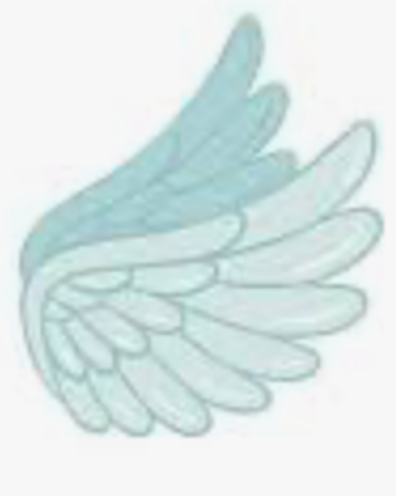 Aaron Cisneros Profile Photo