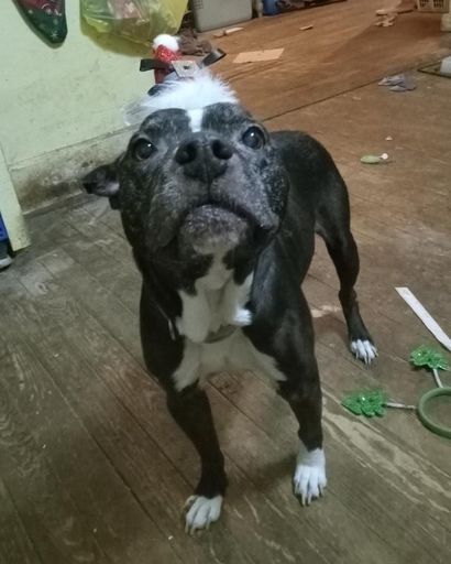 Zeus Fryman's obituary image