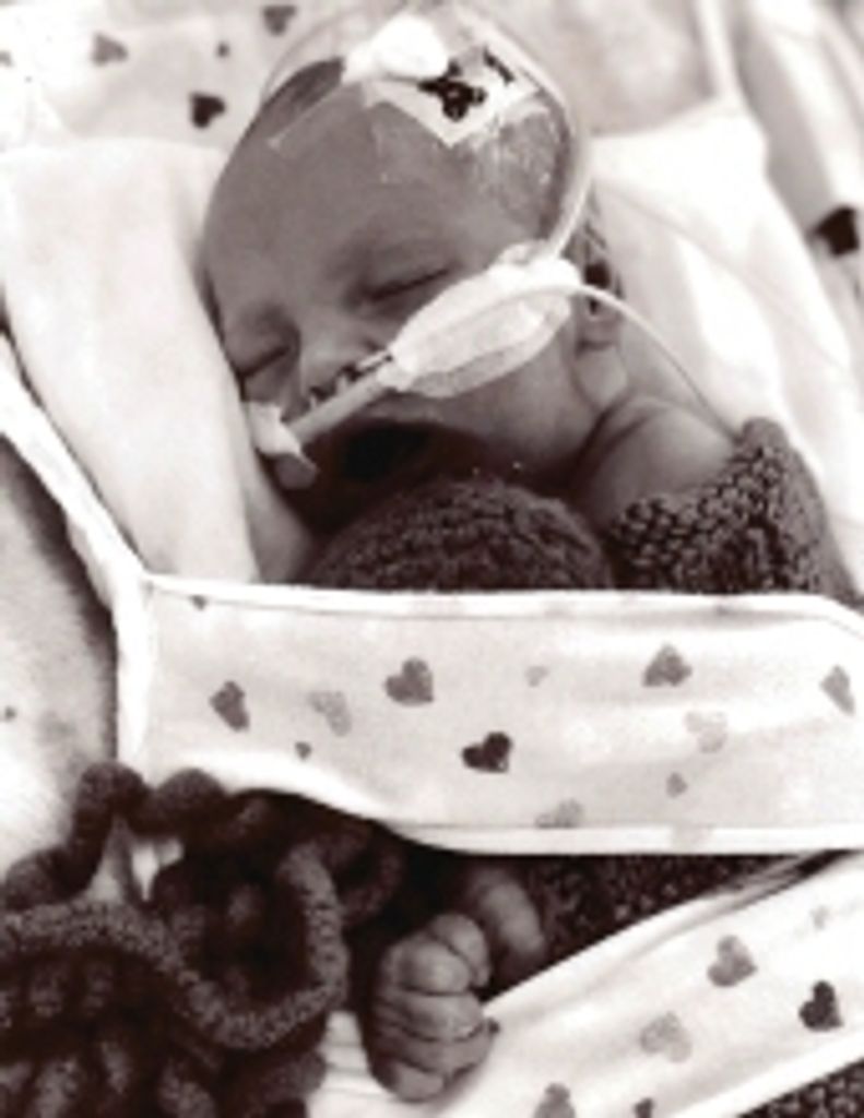 Waylon Edward Dow