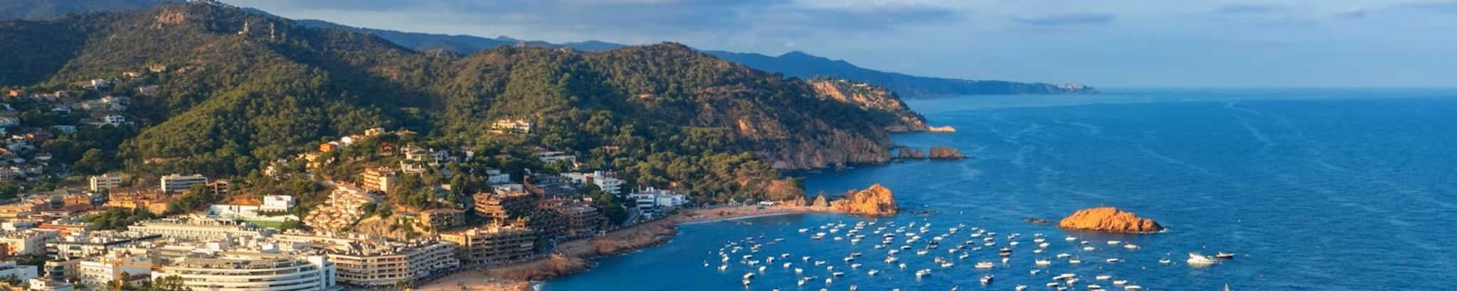 Cover for Cristina Masoliver Comella's Obituary