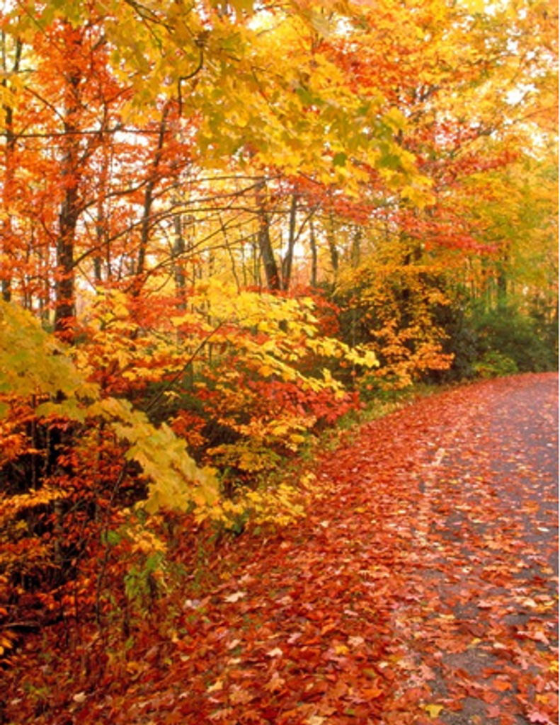 Clinton William (Q) Nichols