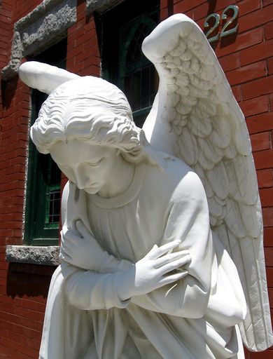 Donna Louise Bree Profile Photo