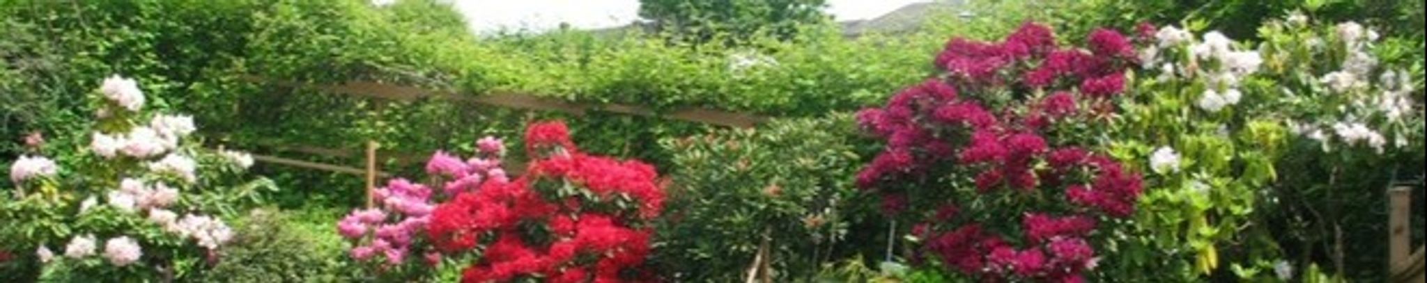 Cover photo for Marta Valeria Fechete's Obituary