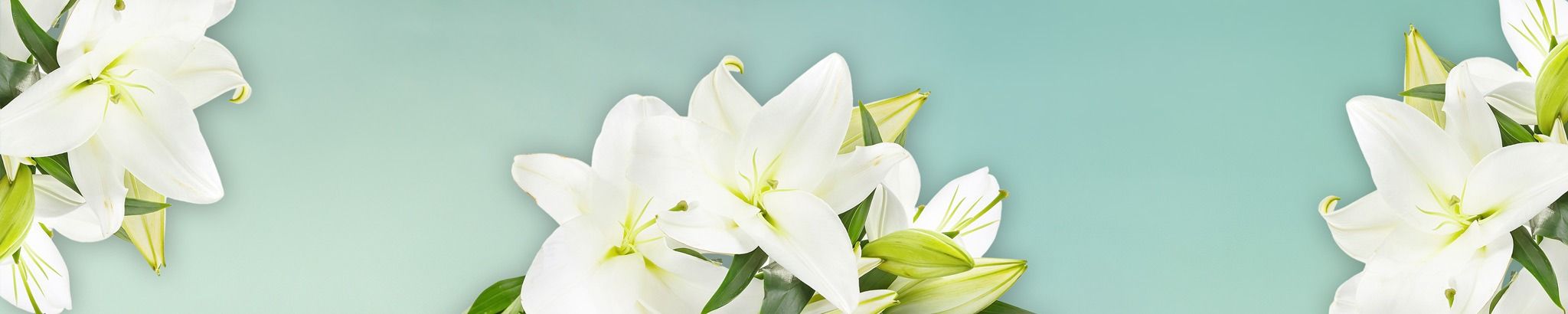 Cover for Helen V. Bernhard's Obituary