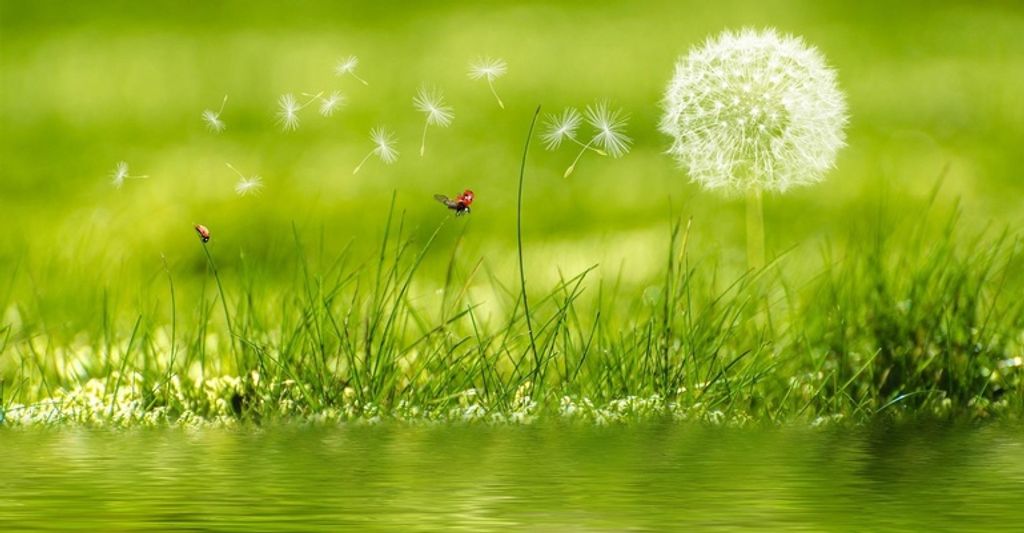 Mrs. Bernice P. Parker Profile Photo