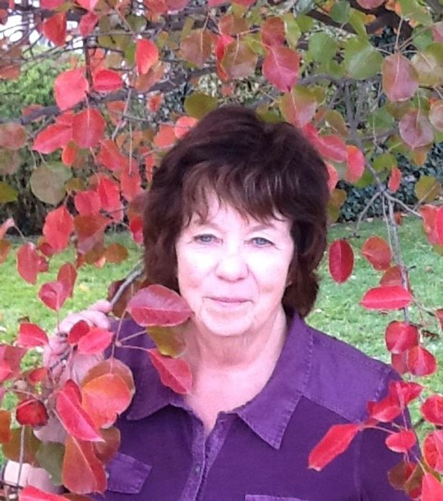 Beth Fuller Profile Photo