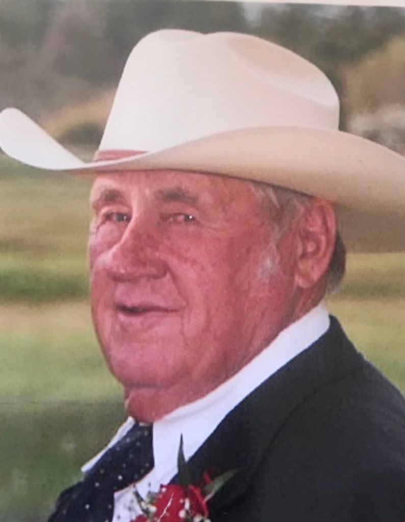 Donald Elkins