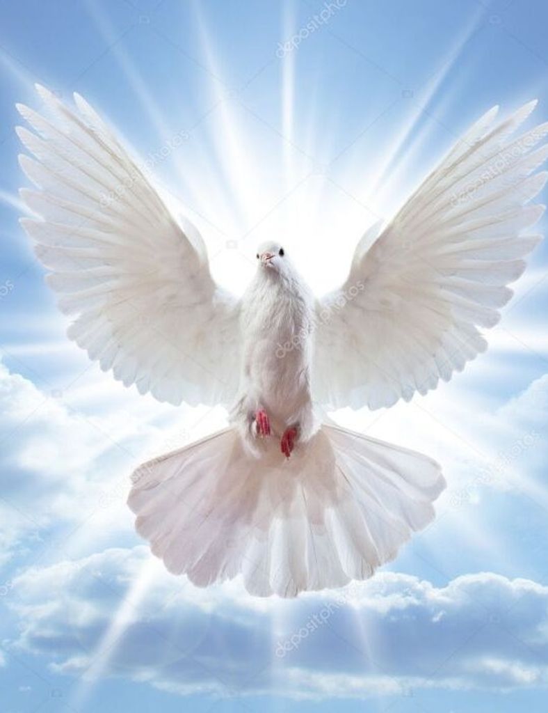 Carolyn (Sealey)  Parkins