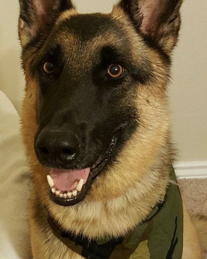 Nakoda ?'s obituary image