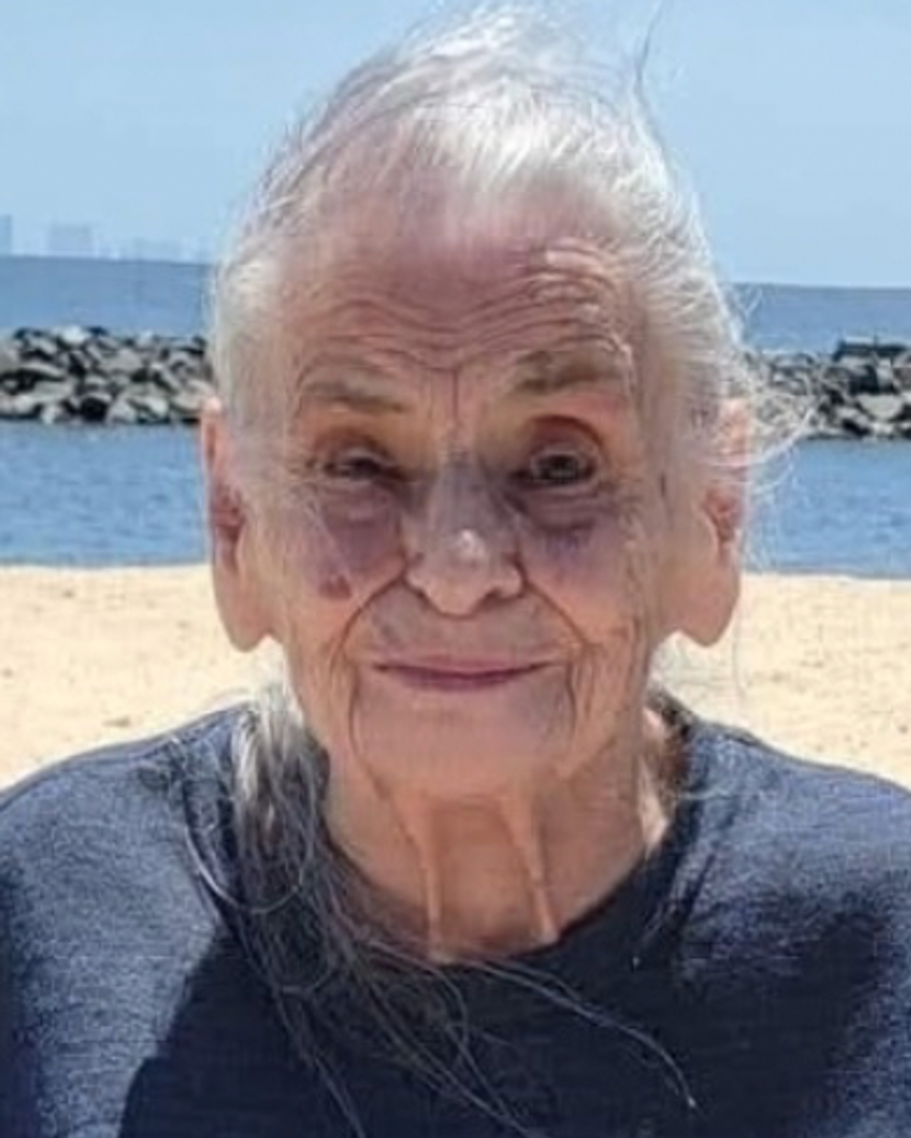 Dorothy E Volante Profile Photo