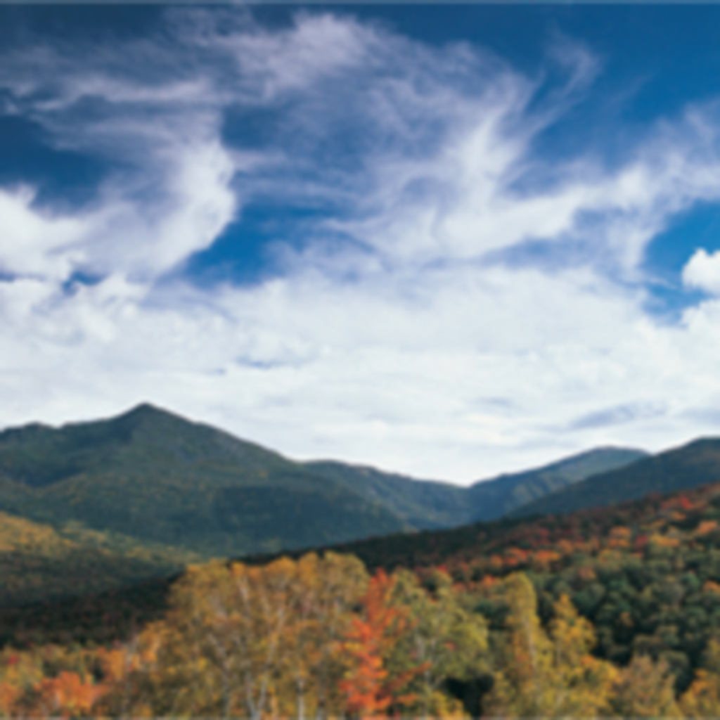 George Youssef Abboud