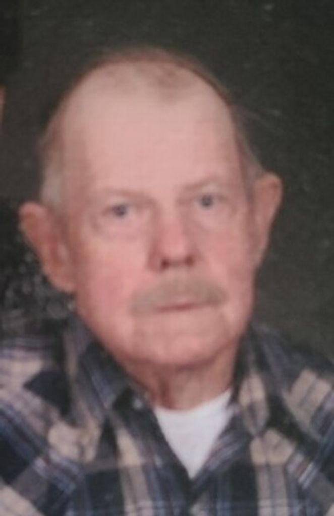 Lacy Herring Profile Photo