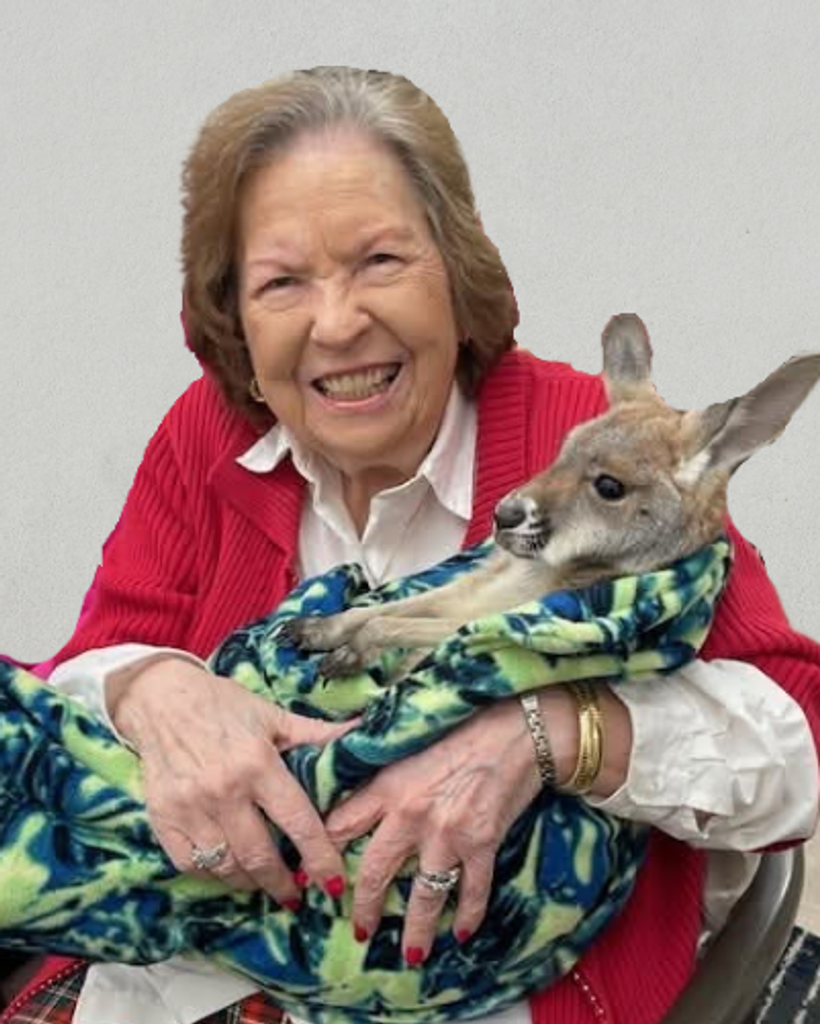Mary Ann Phillips Profile Photo