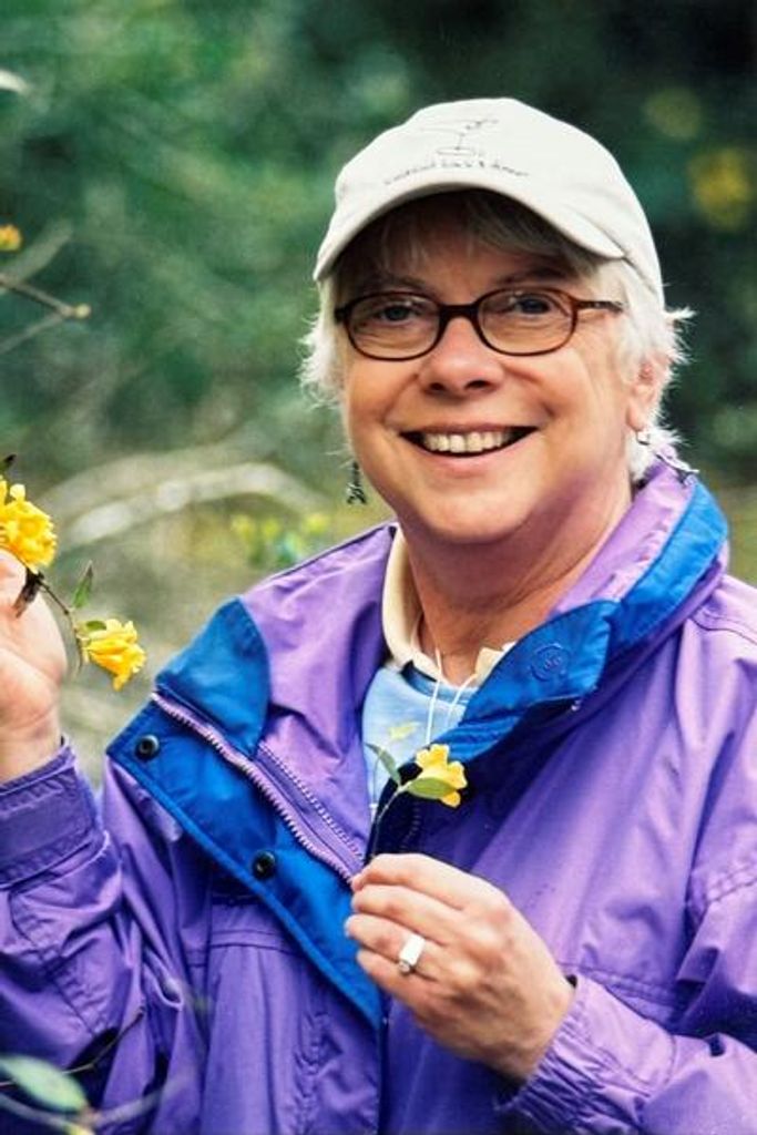 Karen De Young Profile Photo