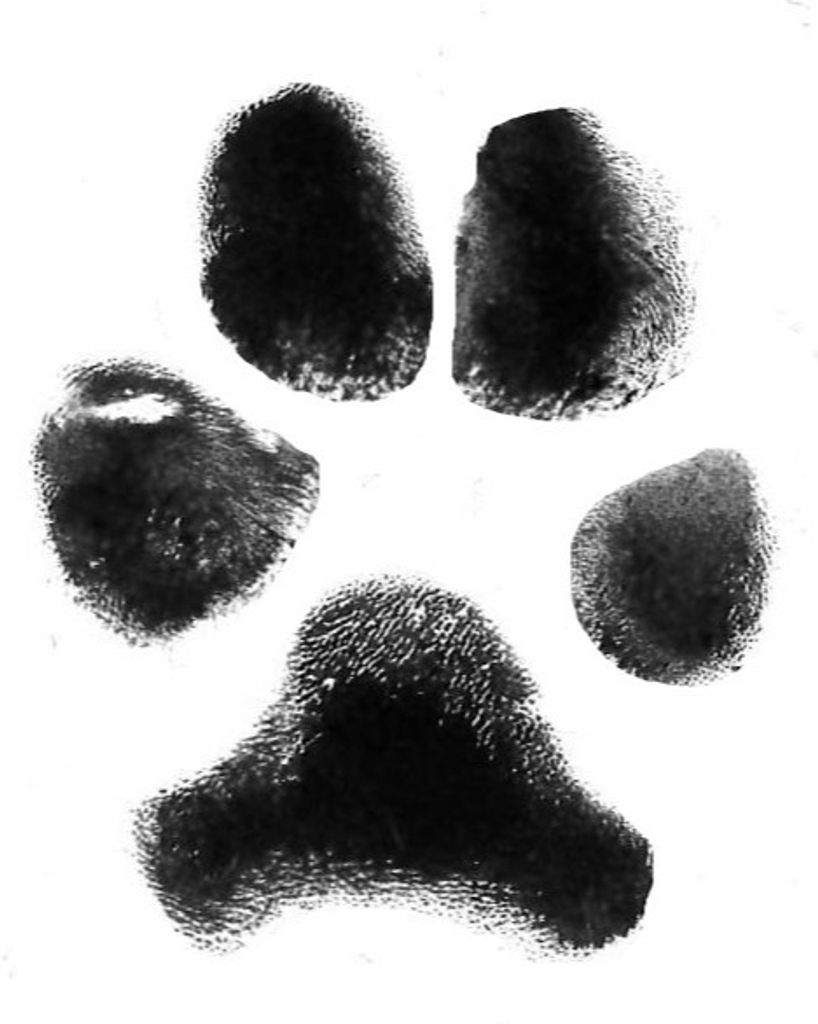 Butters Duffey Profile Photo